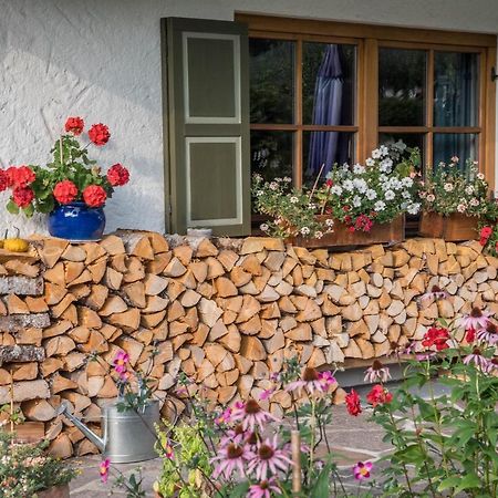 Ferienwohnung Gipfelblick Grainau Ngoại thất bức ảnh
